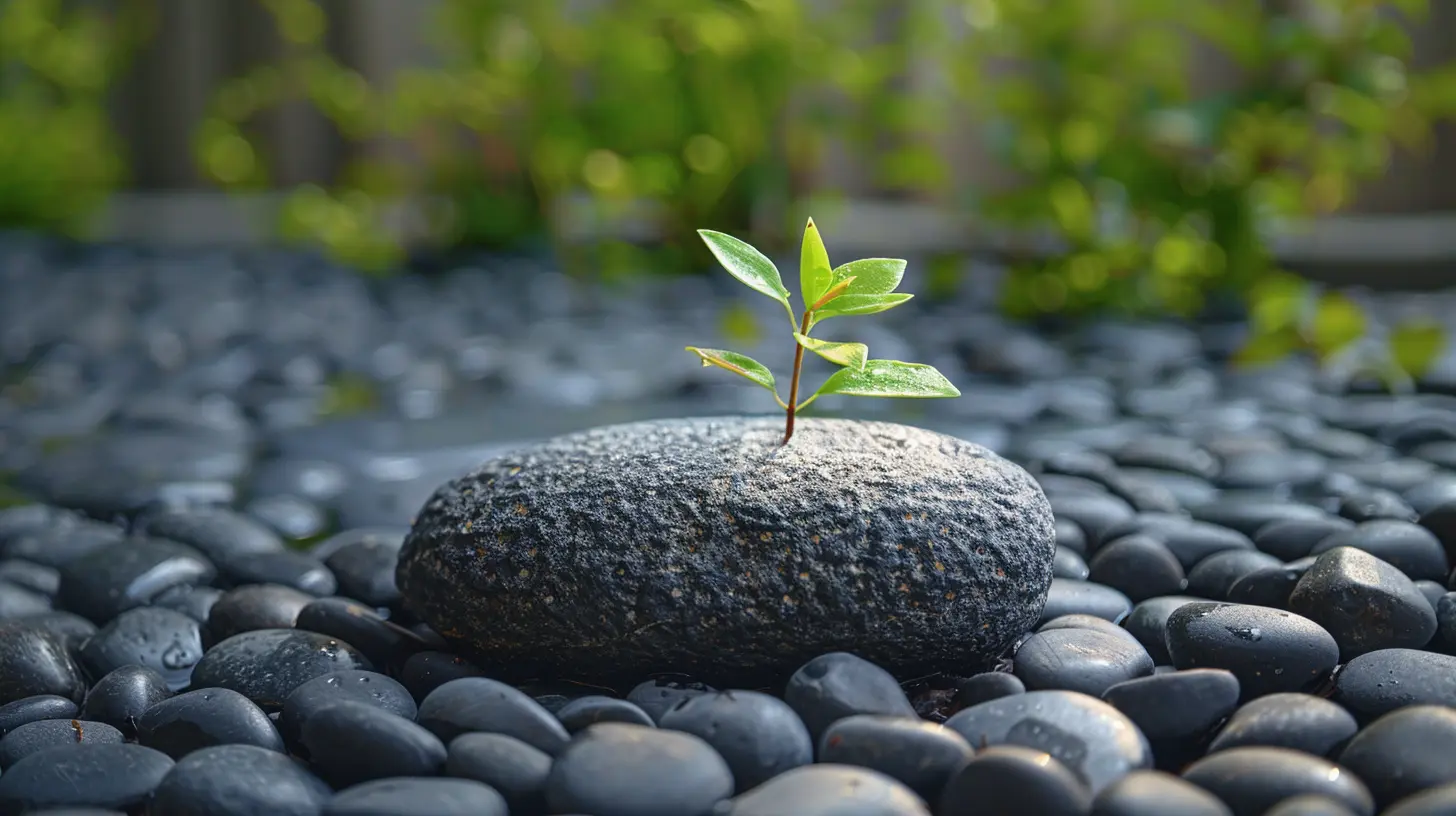 Stress Relief Through Minimalism: Simplifying Your Life for Inner Peace