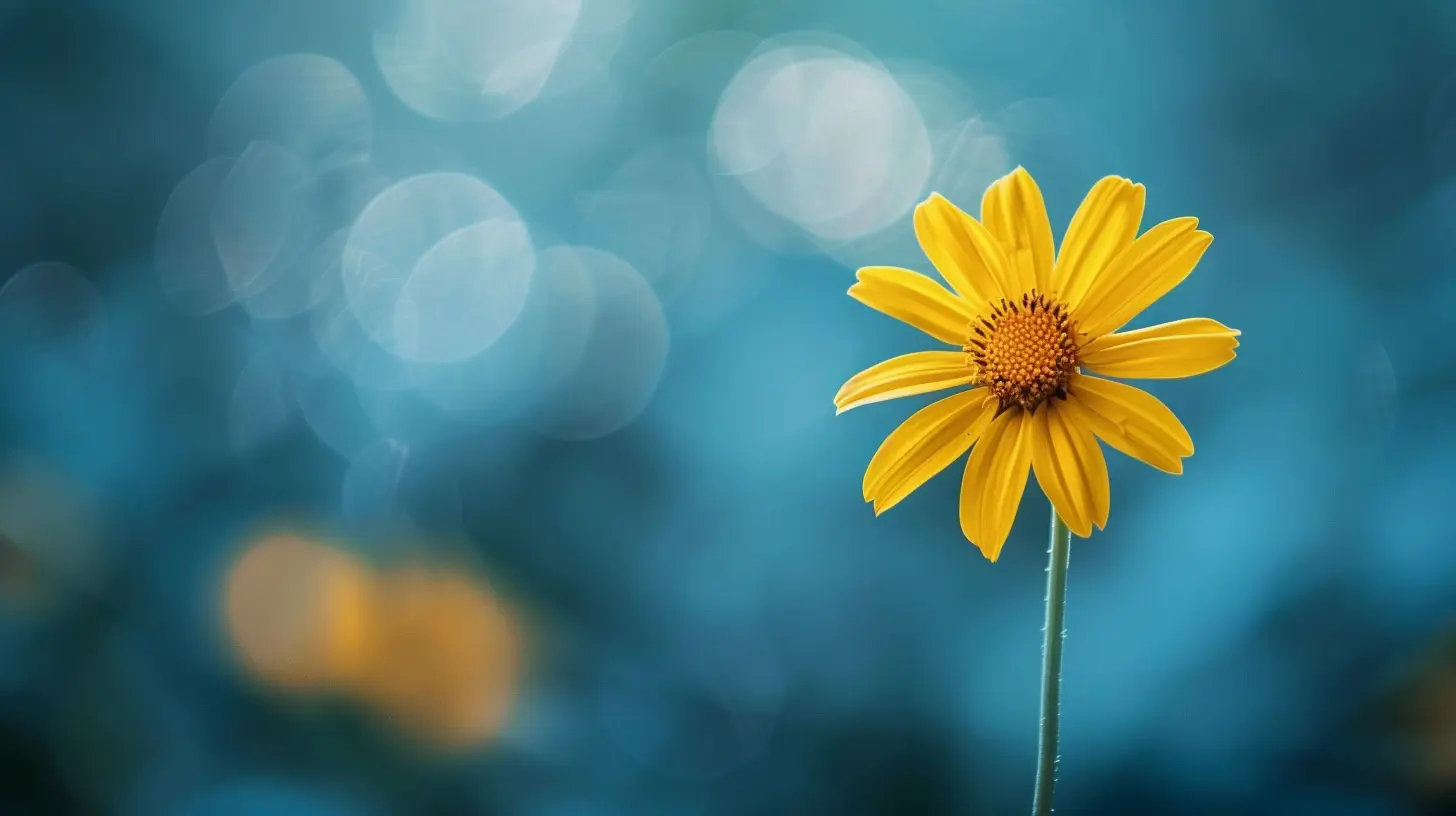 Stress Relief Through Minimalism: Simplifying Your Life for Inner Peace