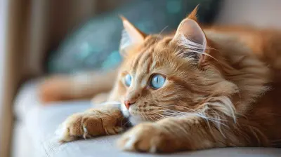 How Pets Can Help You Manage Stress Naturally