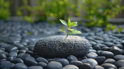 Stress Relief Through Minimalism: Simplifying Your Life for Inner Peace