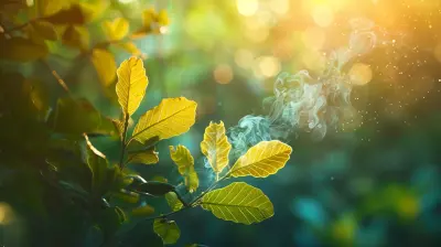 The Connection Between Environmental Toxins and Health in Functional Medicine