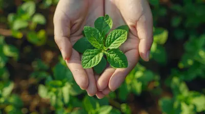 The Environmental Benefits Of Choosing A Plant Based Lifestyle