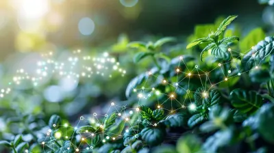 The Intersection Of Functional Medicine And Epigenetics In Personalized Health