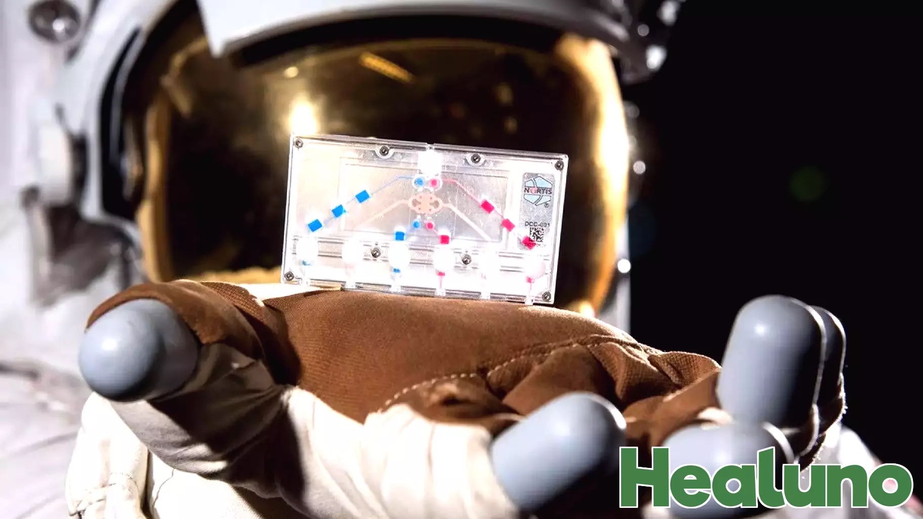Advancements in Precision Health Care Through Tissue Chips