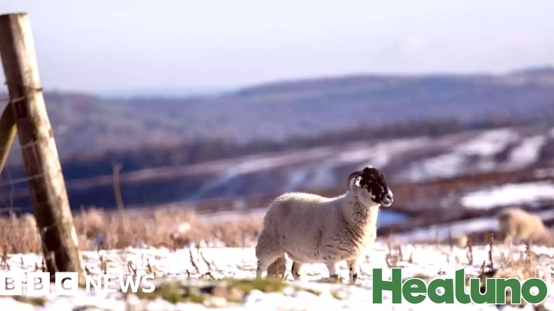 Chilly New Year's Welcome as Health Alerts Are Issued