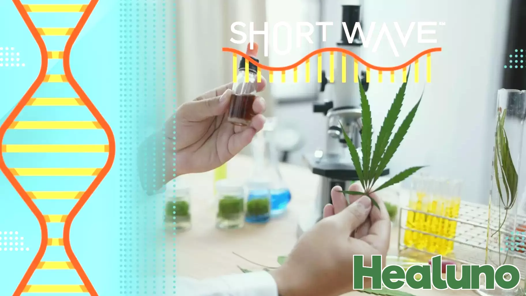 Disparities in State Marijuana Regulations May Endanger Public Health