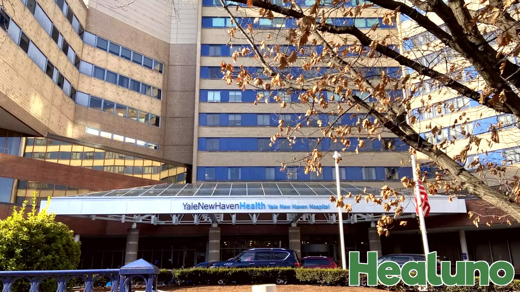 Exploring the Impact of AI on Healthcare Systems at Yale Conference