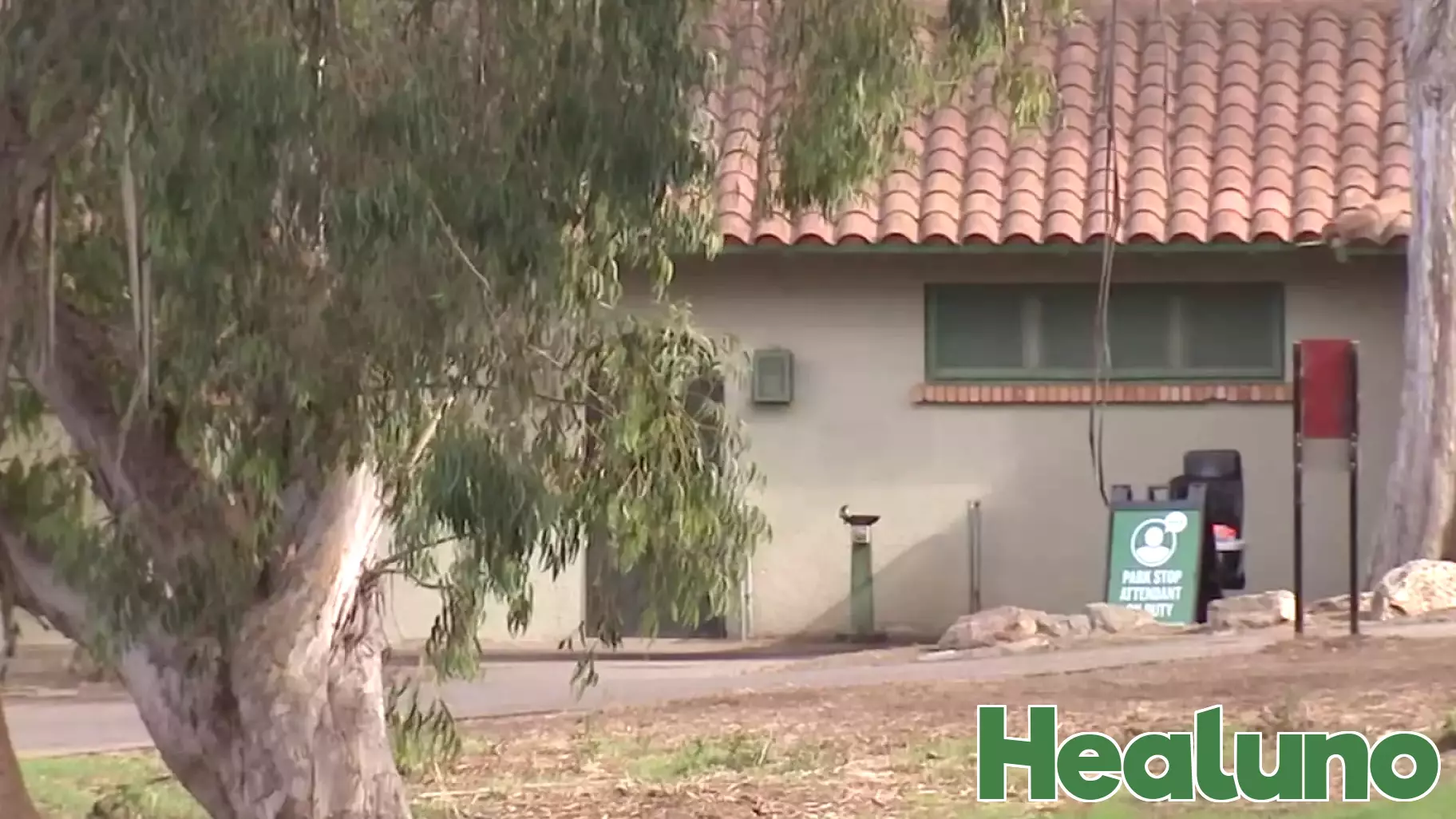 Family Reveals Mental Health Struggles of Suspect in San Francisco Polo Field Incident