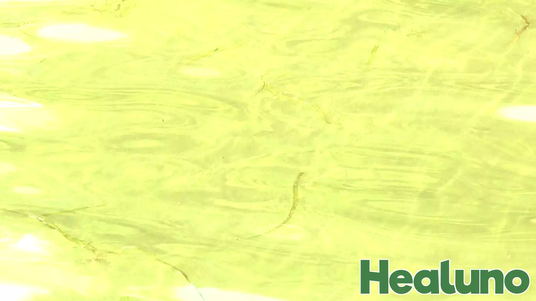 Health officials warn of harmful algal blooms on Canandaigua and Finger Lakes