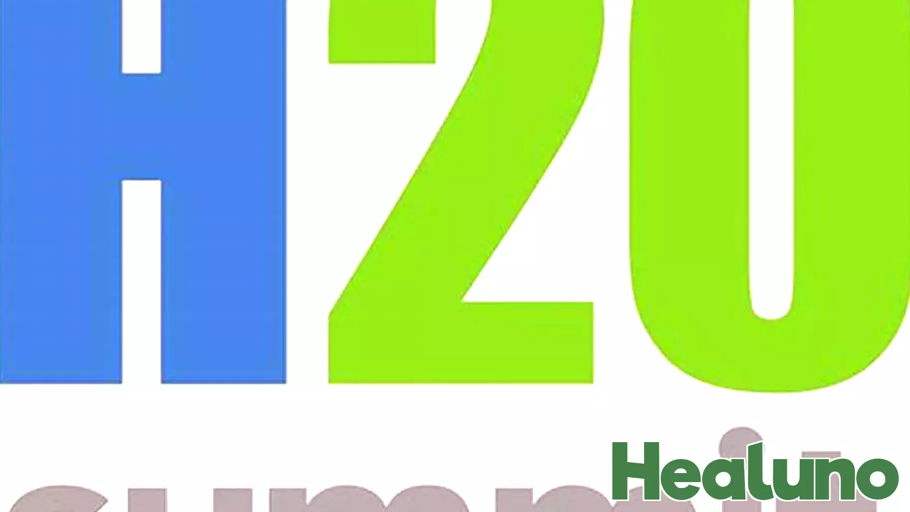 Health20 Summit: Redefining Collaborations and Restoring Trust in Global Health