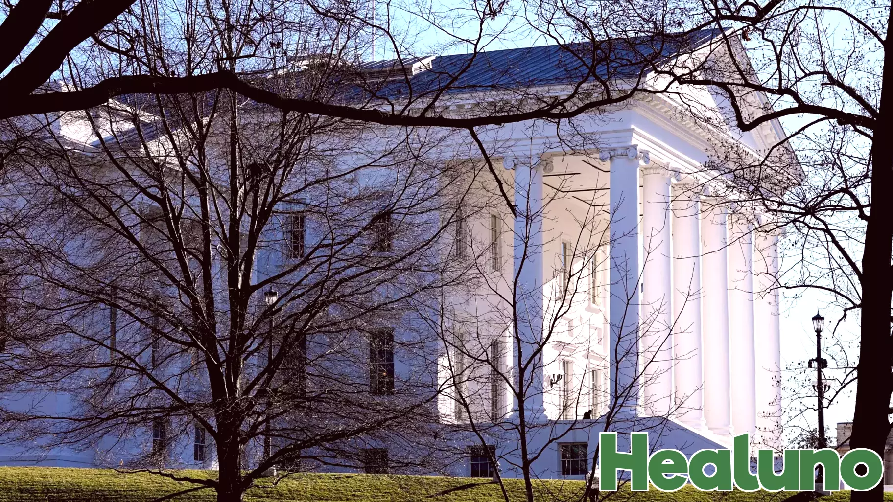 Here’s how Va. lawmakers suggest the next state budget handle federal health care funding fallout