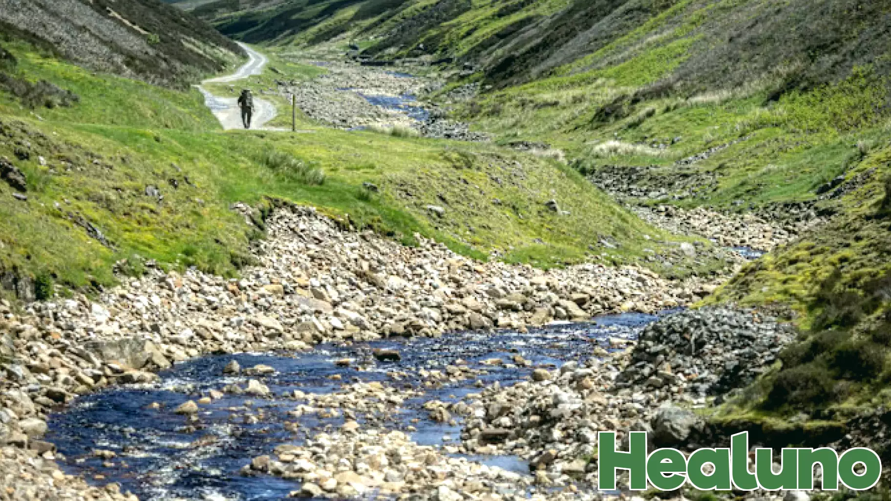 Lead Pollution and Its Health Risks Linked to Former Mining Areas