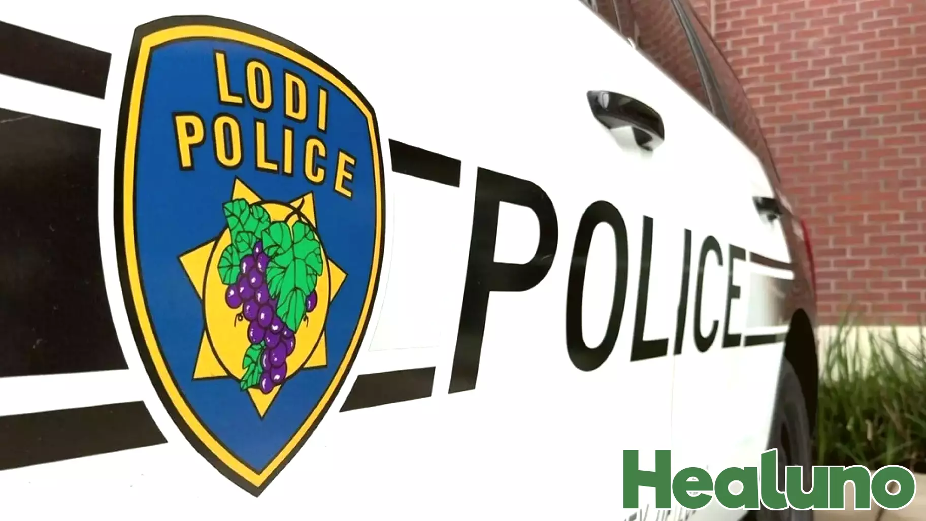 Lodi Welcomes Back Mental Health Services Program