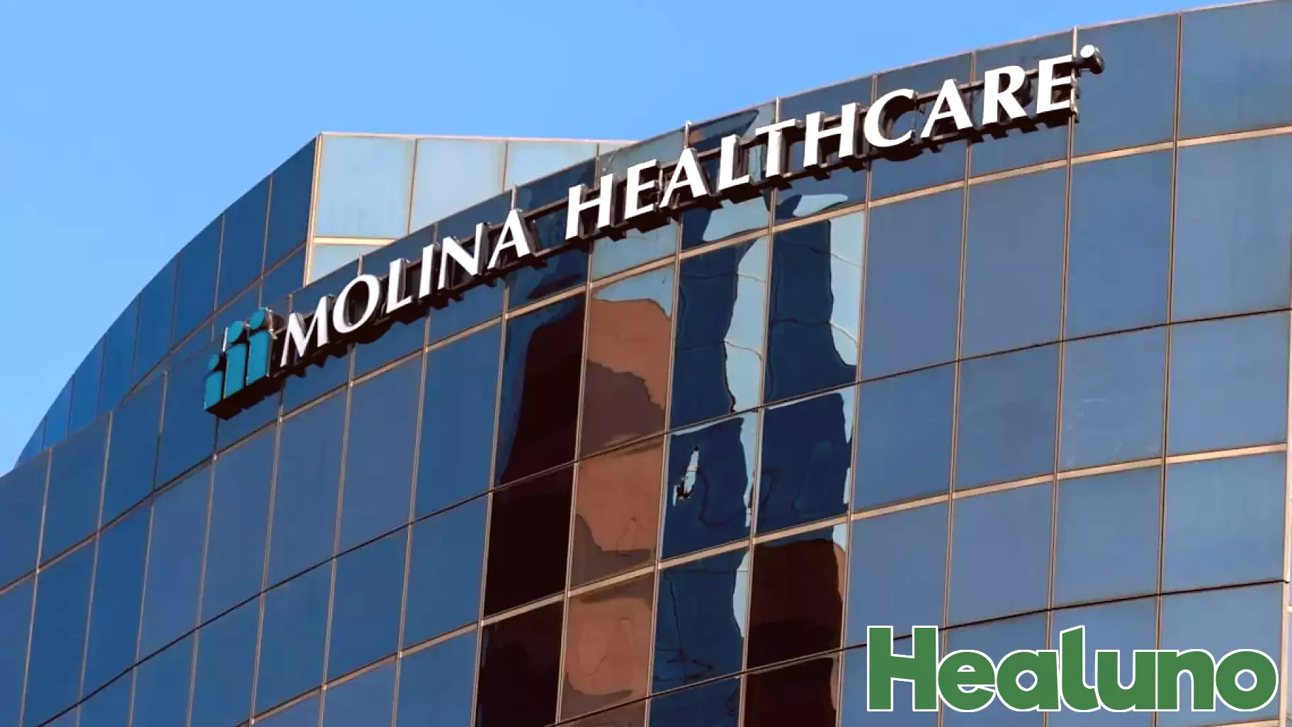 Molina Healthcare Soars Following Positive Endorsement from Michael Burry as Gold Prices Rebound