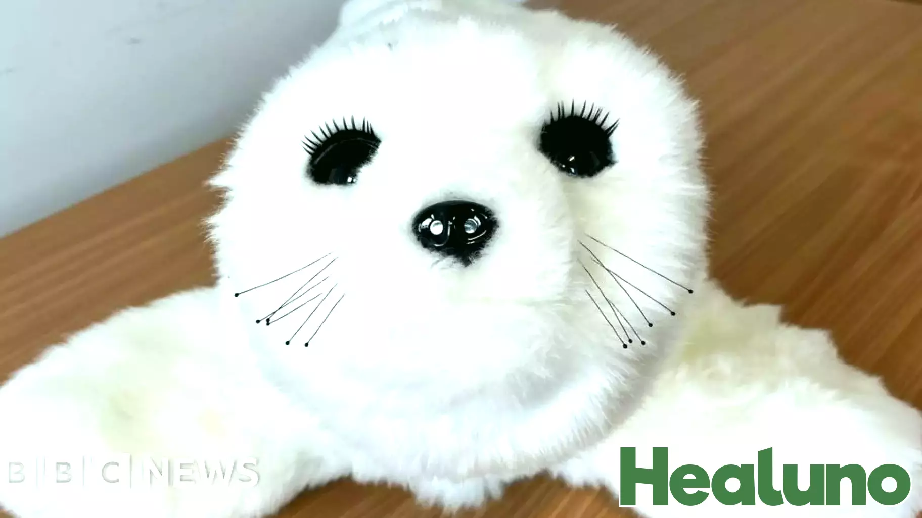 Robot seal to help mental health patients in Kent and Medway
