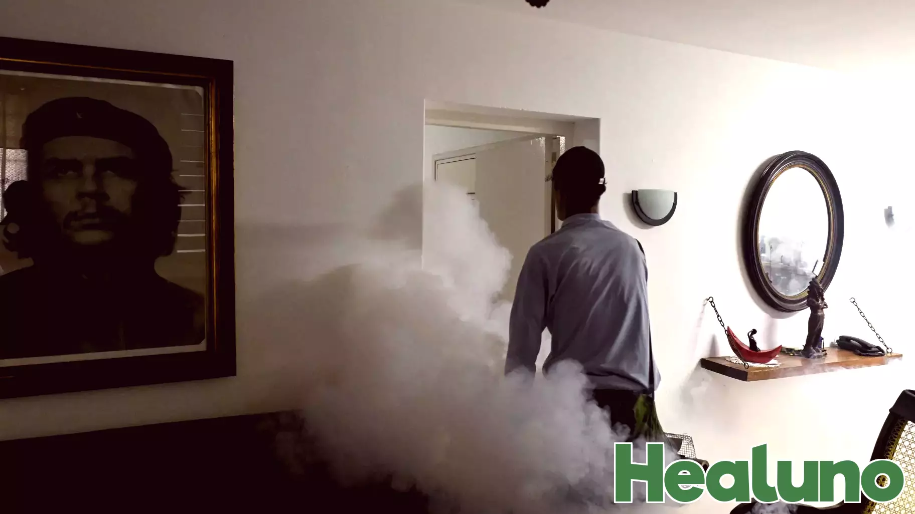 Surge in Mosquito-Borne Illnesses Affects Cuba's Population