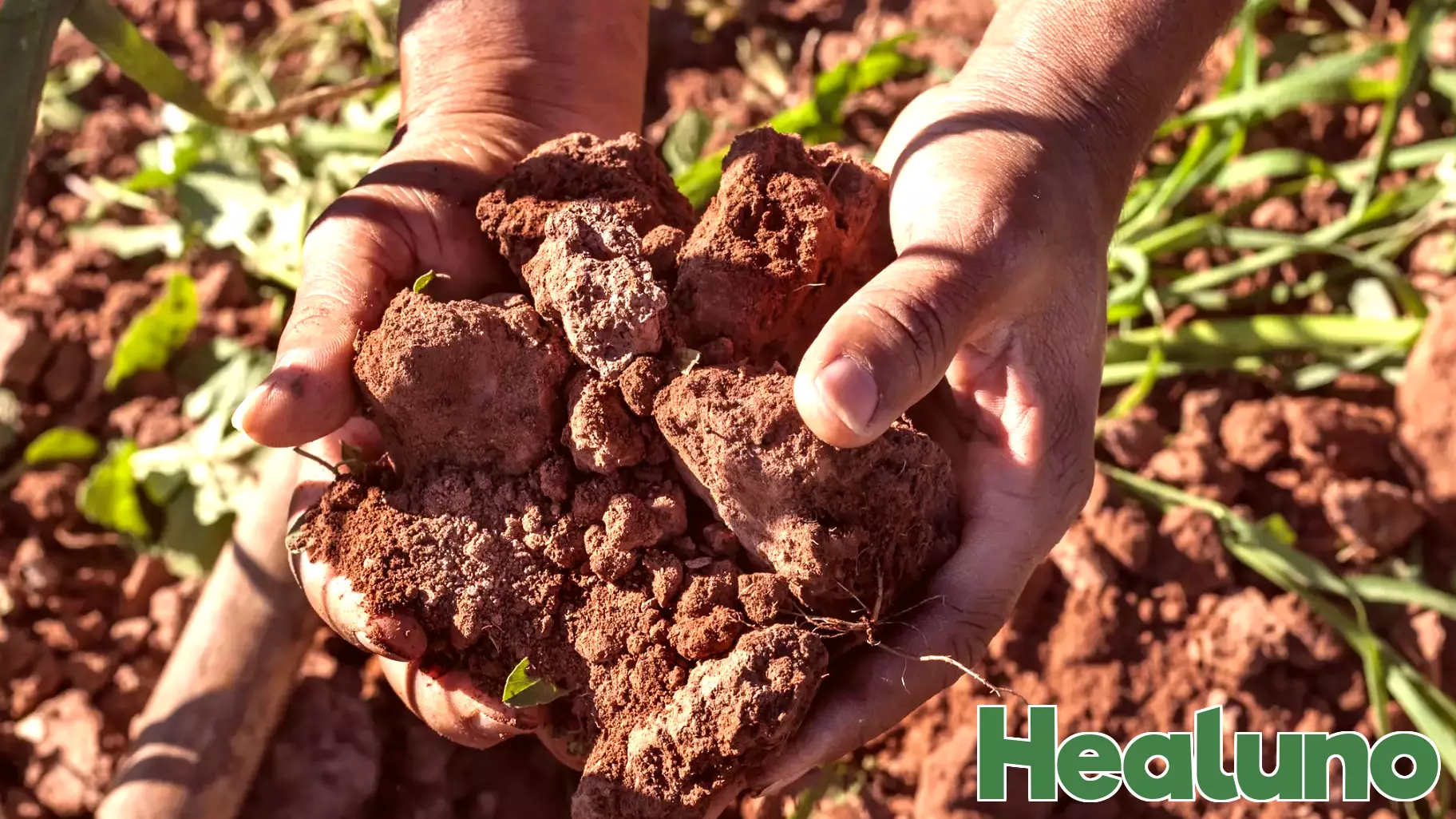 The Impact of Climate Change on Digestive Health