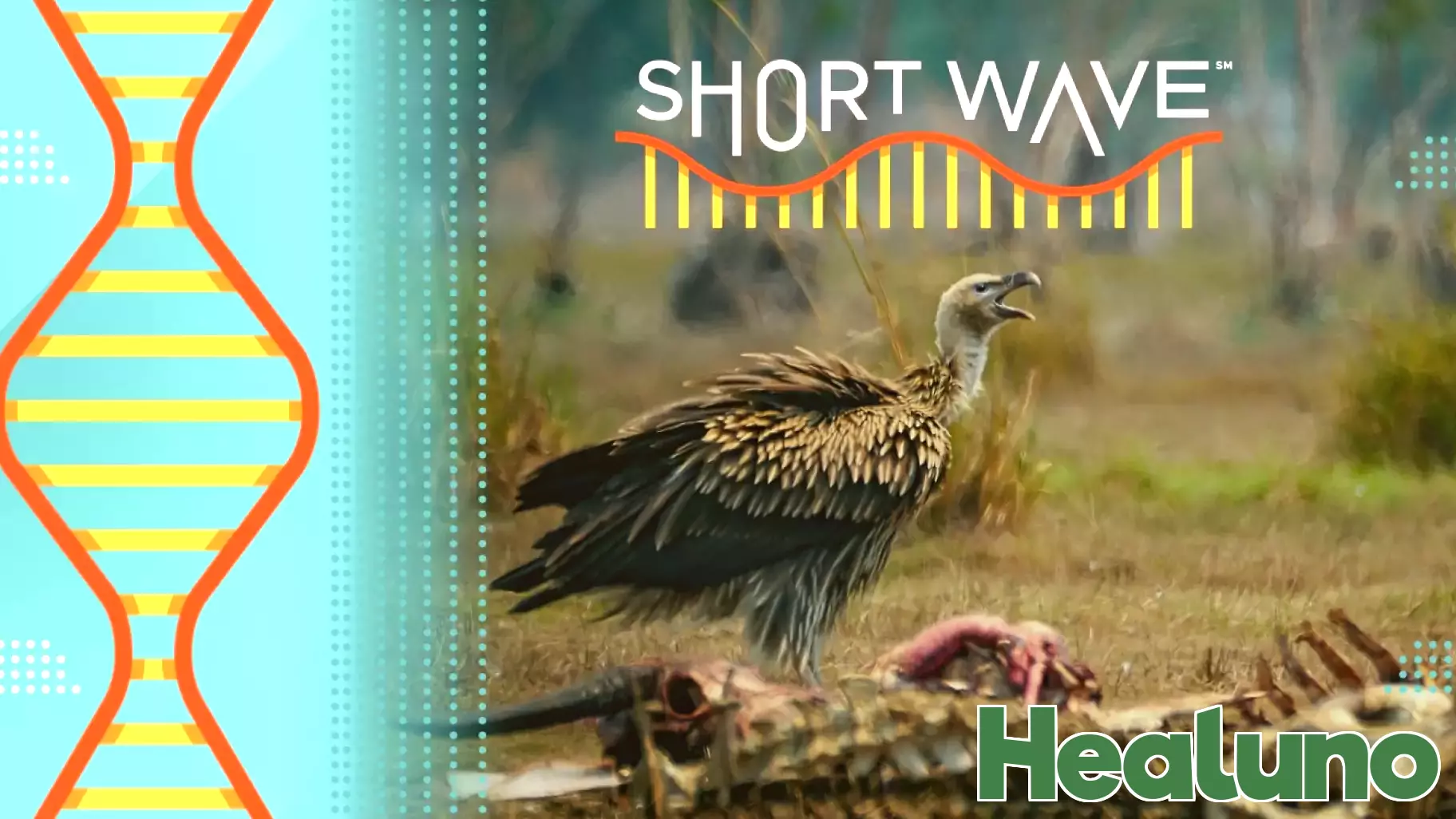 The Vital Role of Scavengers in Protecting Human Health