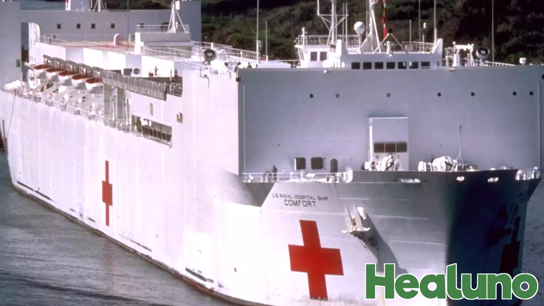 Trump tried to troll Greenland's free public health care system with U.S. Navy hospital ships still in dock. 'It’s a no thank you from here'
