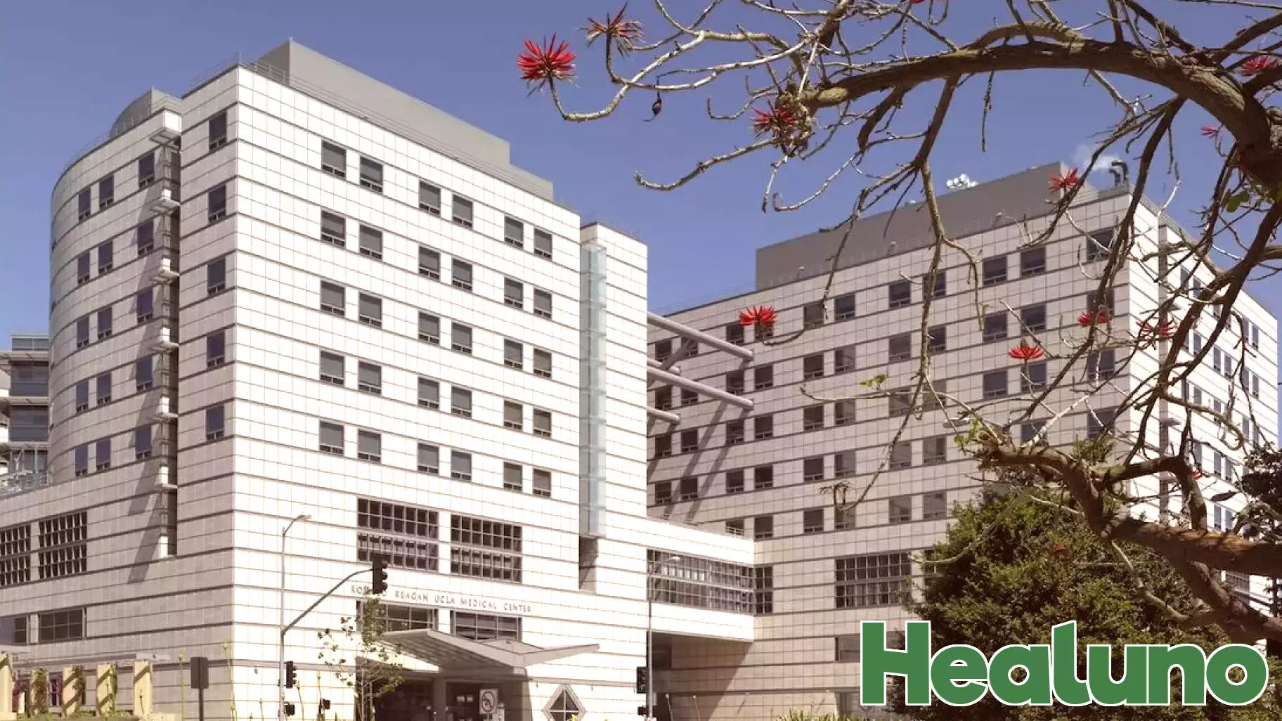 UCLA Health Dominates Annual Hospital Rankings