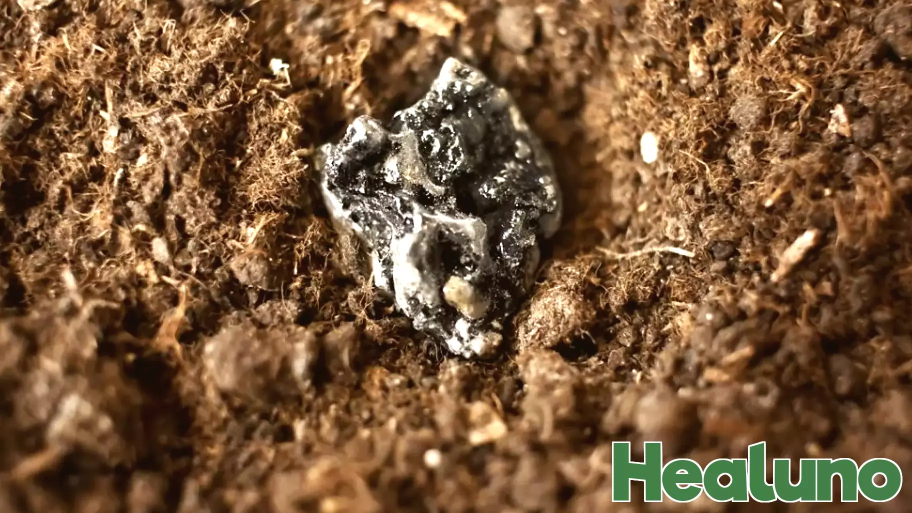 Unveiling the Role of Rare Earth Minerals in Global Diplomacy