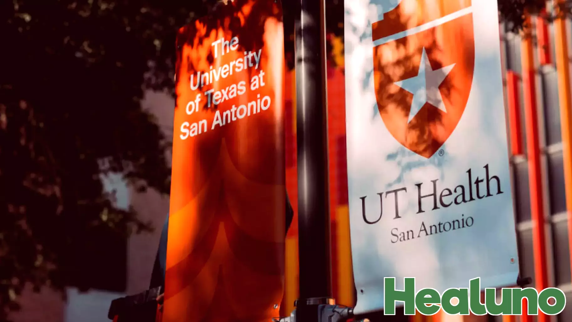 UT San Antonio Health Graduates Strengthen Texas Healthcare Workforce