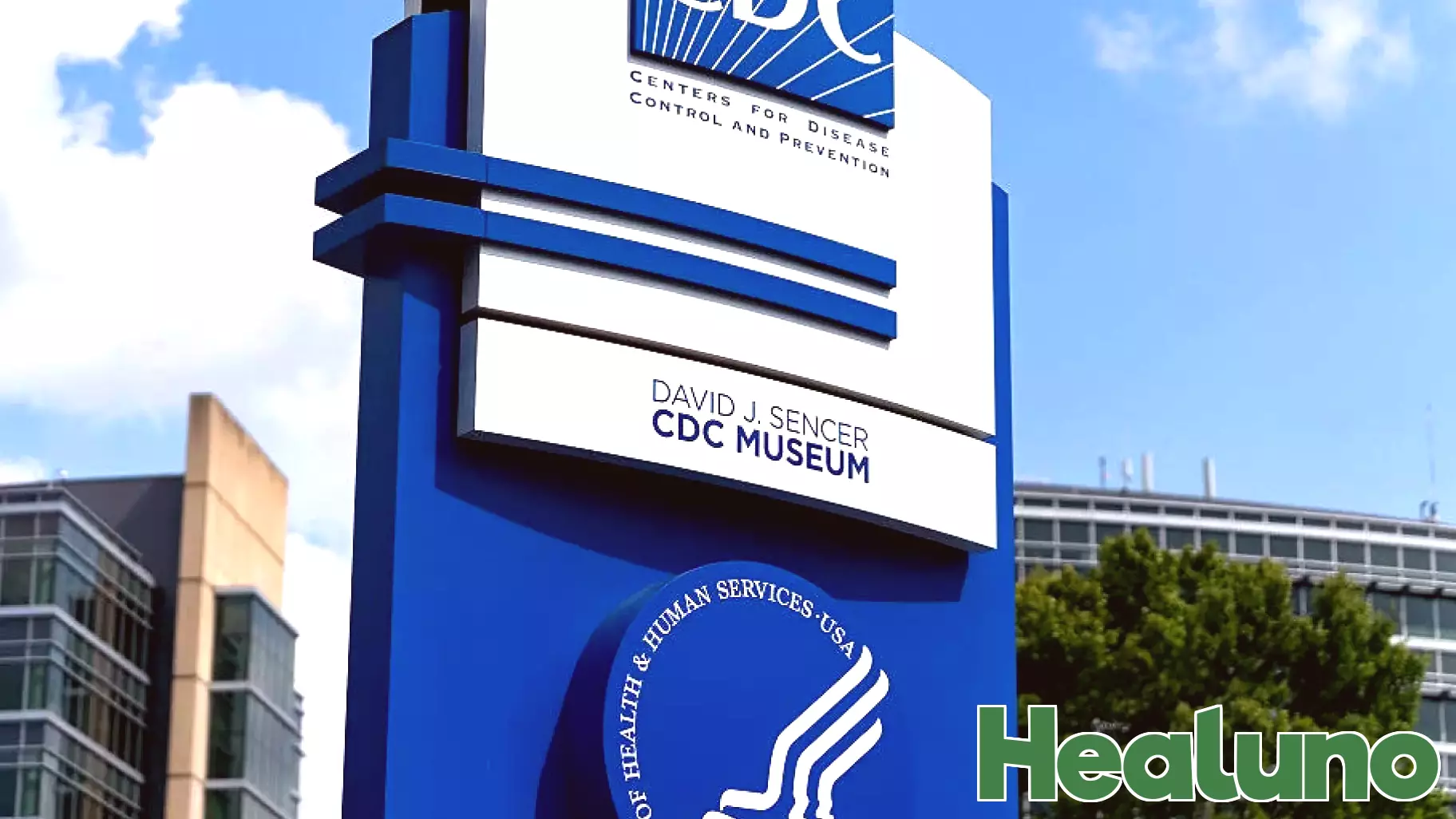 Washington State Reports First Human Death from Rare Bird Flu Strain