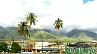As Maui recovers from devastating fires, a study offers vision for new rural health model