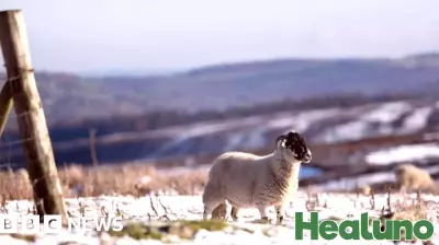 Chilly New Year's Welcome as Health Alerts Are Issued