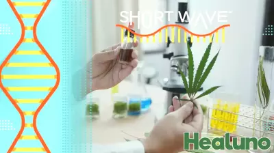 Disparities in State Marijuana Regulations May Endanger Public Health