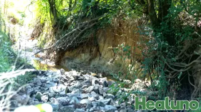 Efforts Underway to Revitalize Local Stream at North Carolina State Farmers Market