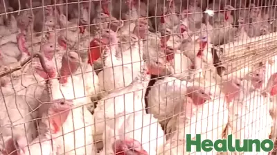 First Human Case of Bird Flu in Washington State Since February