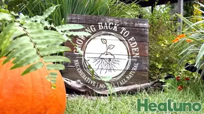 Florida Regenerative Farm Puts Soil Health First During Harvest