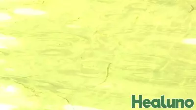 Health officials warn of harmful algal blooms on Canandaigua and Finger Lakes