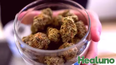 Survey: More than half of Washington clinicians cite mental-health risks from cannabis use