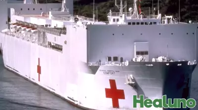 Trump tried to troll Greenland's free public health care system with U.S. Navy hospital ships still in dock. 'It’s a no thank you from here'