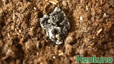 Unveiling the Role of Rare Earth Minerals in Global Diplomacy