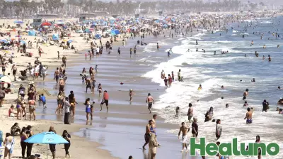 Warning Issued for High Bacteria Levels at Los Angeles County Beaches