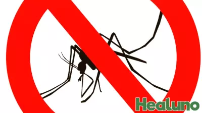 West Nile Virus Detected in Mosquitoes in Coastal Georgia