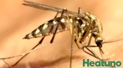 West Nile Virus Found Near Park in Northeast Philadelphia